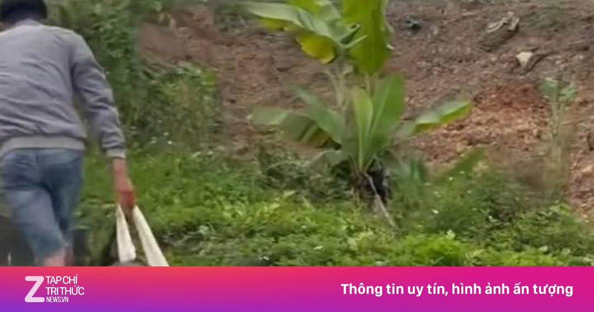 Công An Hải Phòng Xác Minh Video Cô Gái Bị Đánh, Kéo Lê Trên Đường