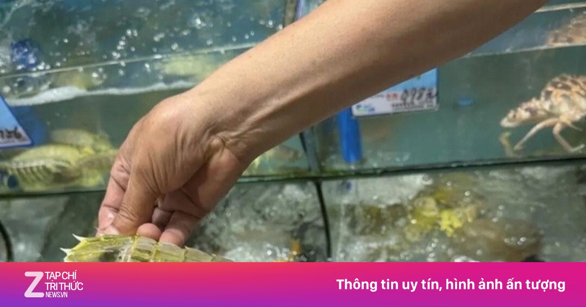Chủ quán hải sản qua đời vì áp lực sau vụ tố bán bề bề giá cao