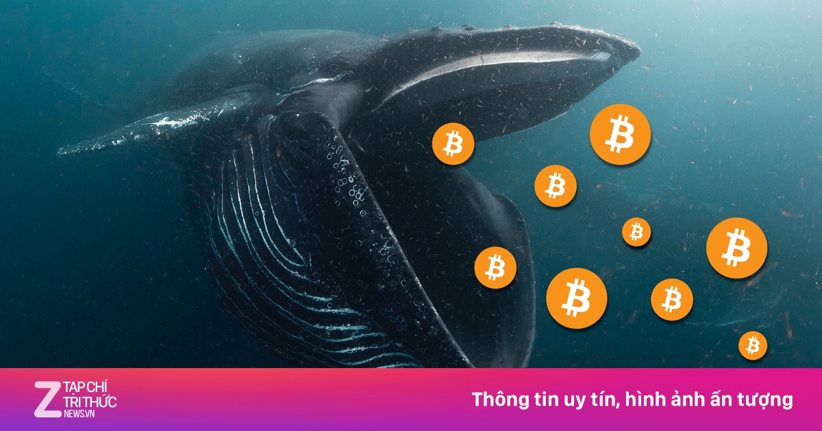'Cá voi' Bitcoin thời kỳ đầu bất ngờ chuyển hơn 8 tỷ USD