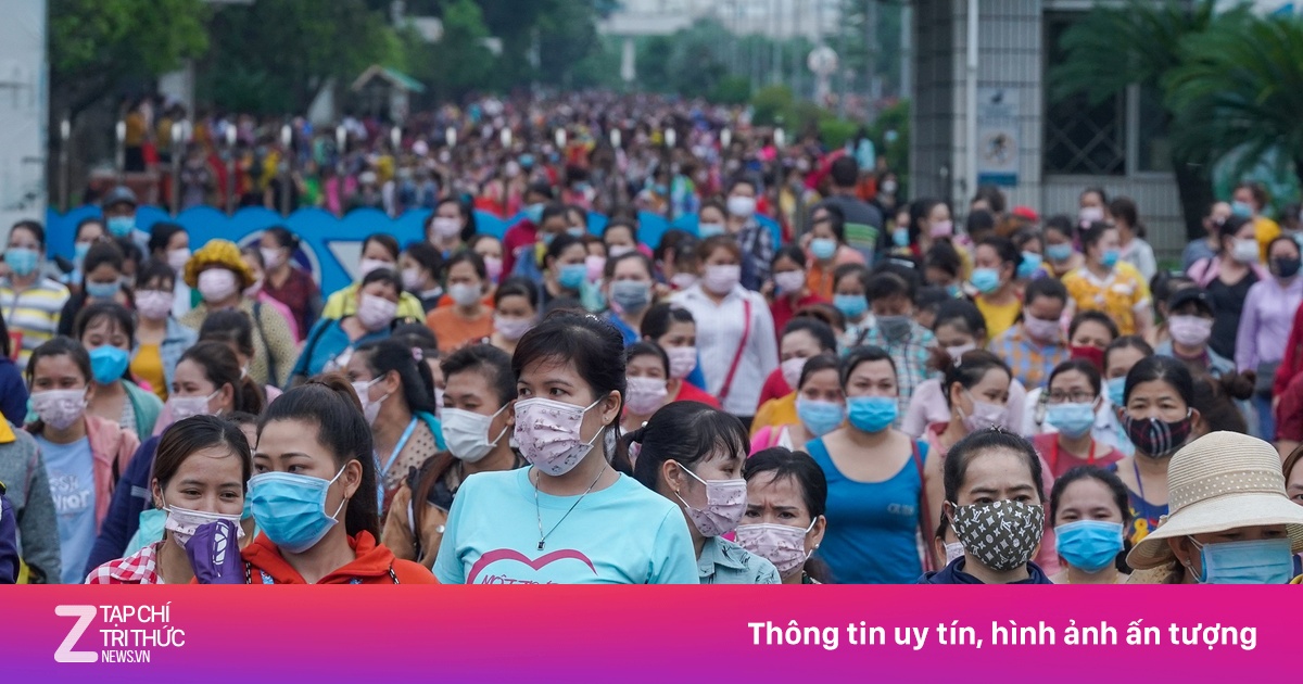 zingnews.vn