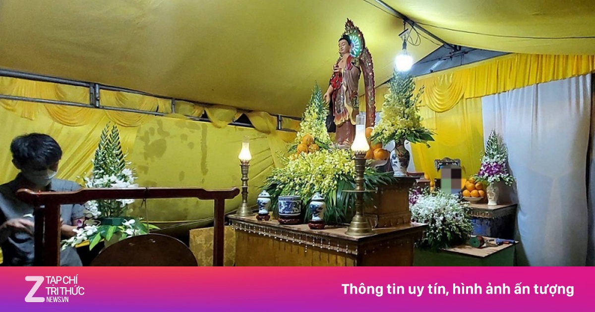 zingnews.vn