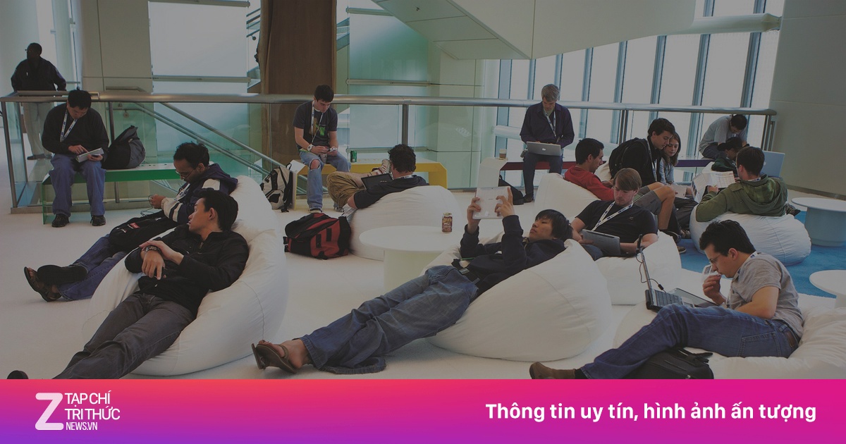 zingnews.vn
