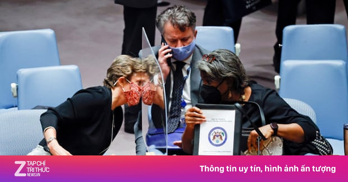 zingnews.vn