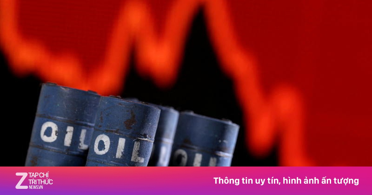 zingnews.vn