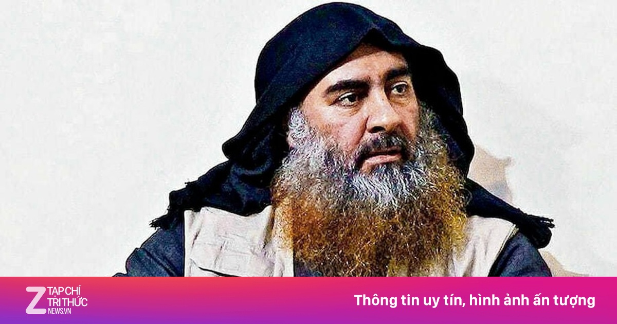 Shimpanze porno video