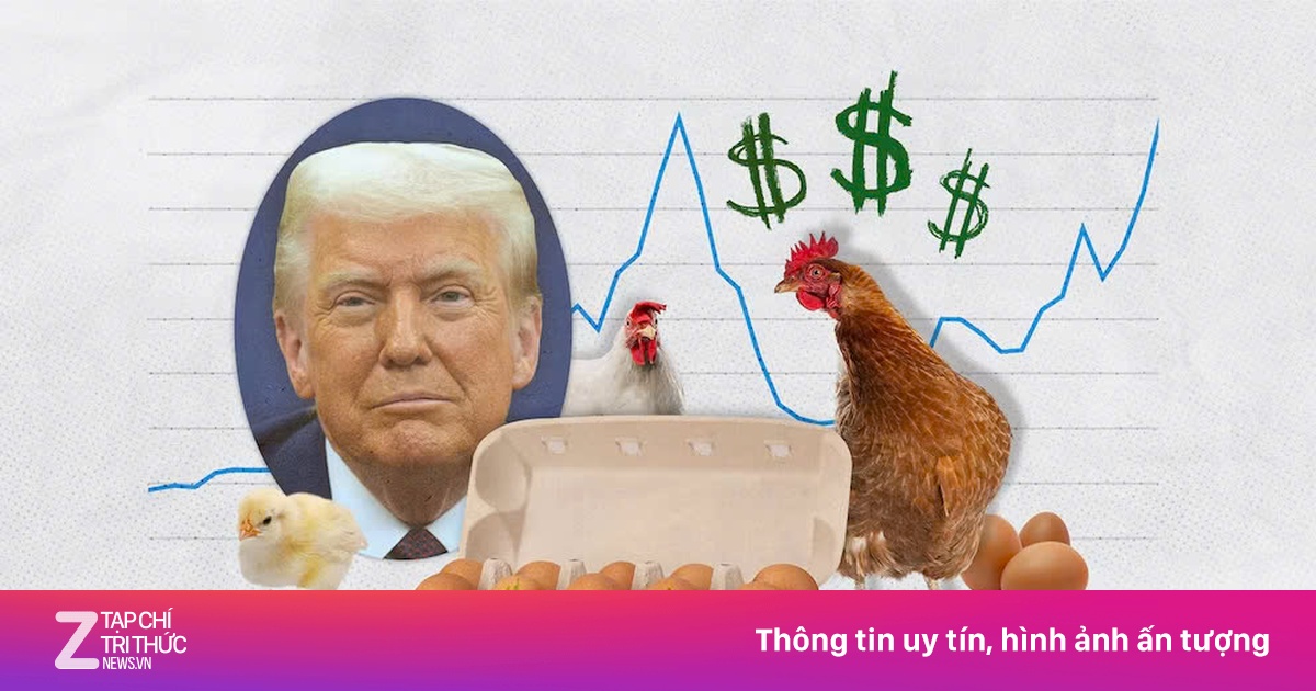 Ông Trump gần đúng về giá trứng ở Mỹ