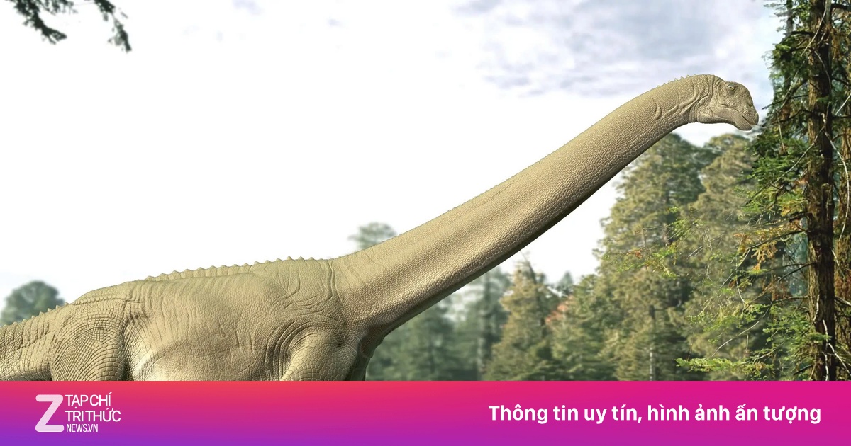 Hóa thạch 'ruột non' khủng long lần đầu được phát hiện