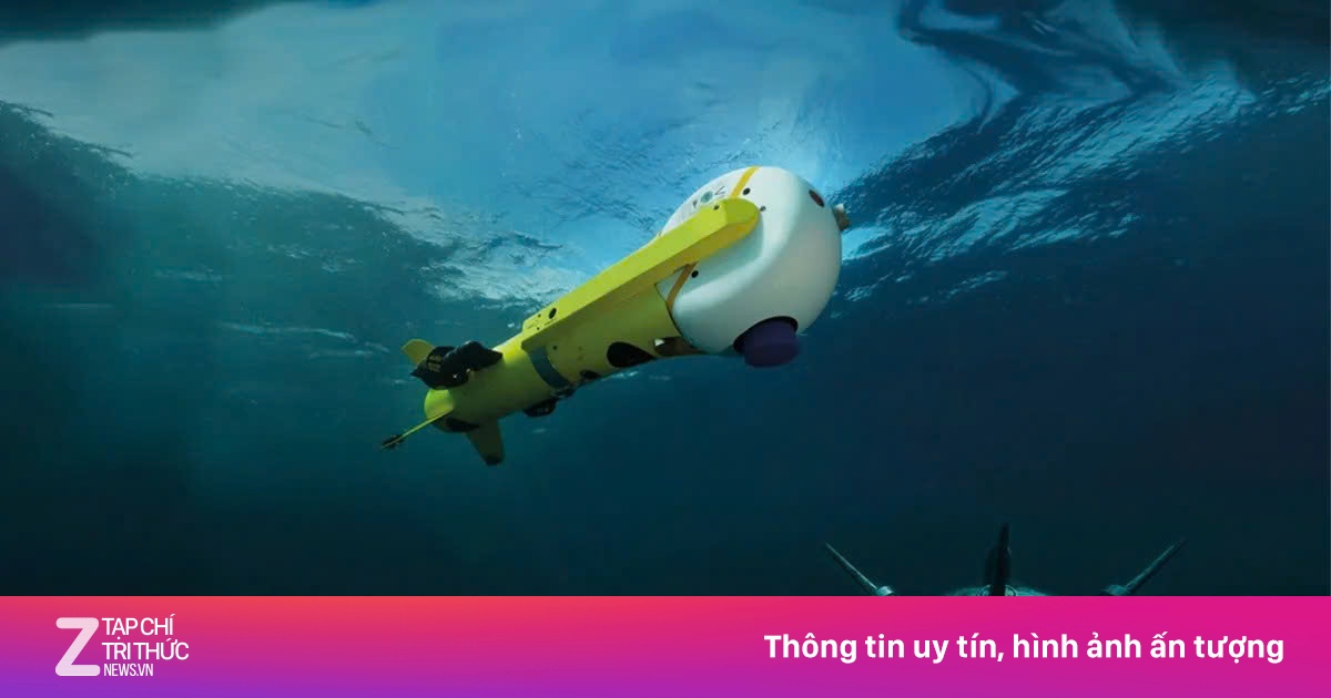 Gia đình tỷ phú Pháp nổi lên nhờ cơn sốt công nghệ rà phá thủy lôi tại Eo biển Hormuz