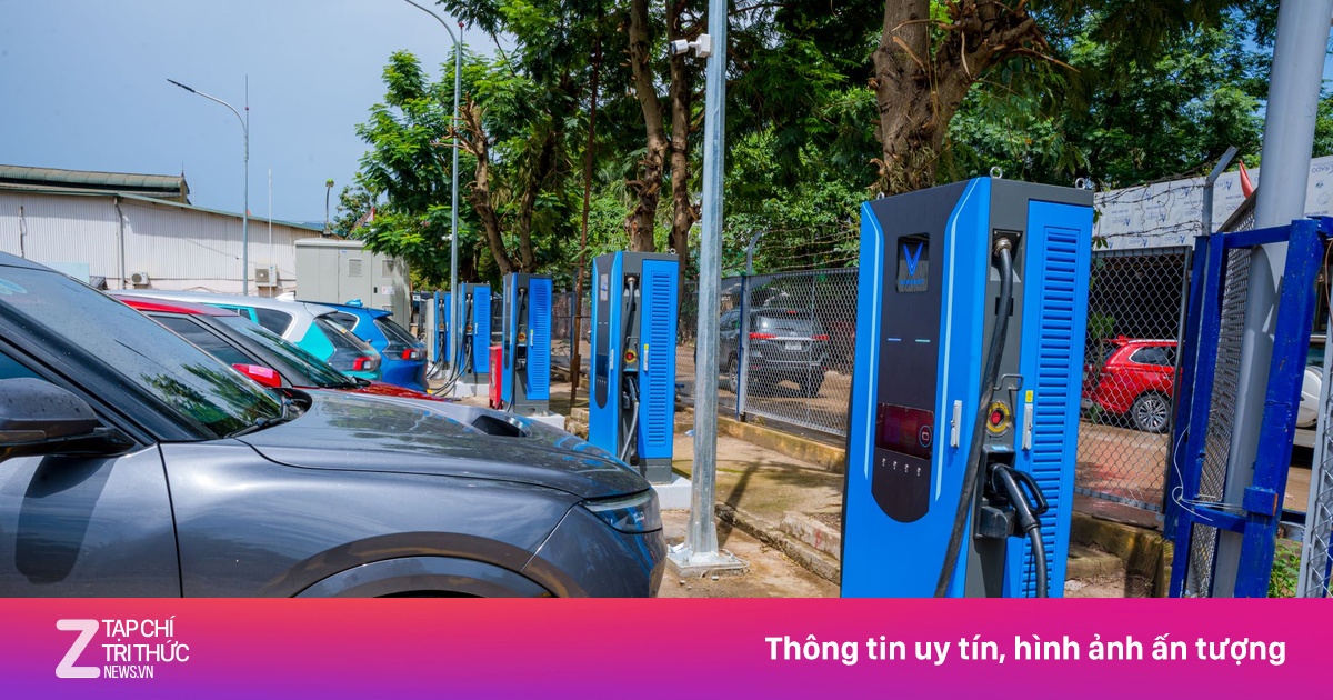 Nhà đầu tư tiết lộ lý do chọn V-Green, chi 100 tỷ đồng làm trạm sạc