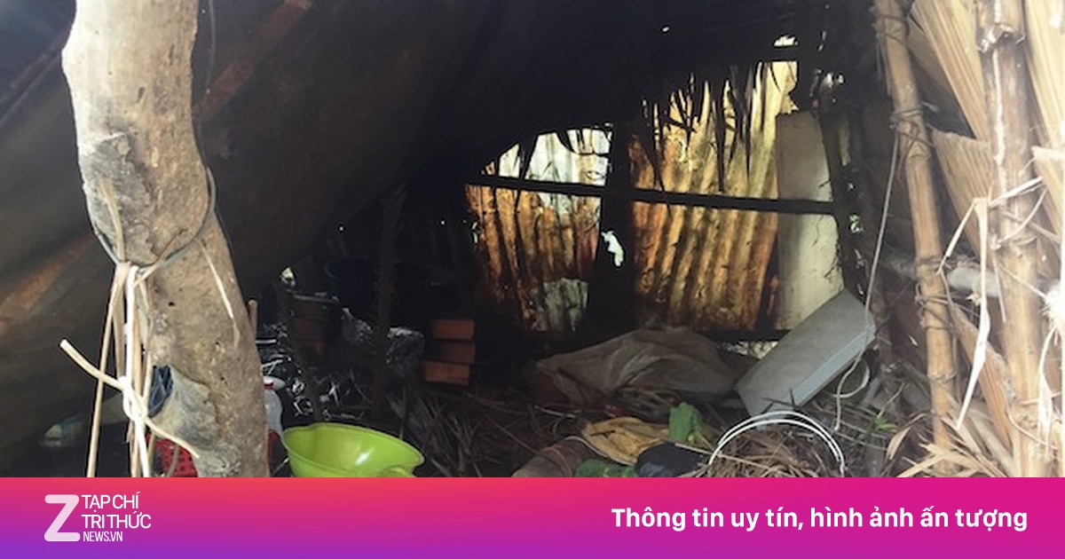 zingnews.vn