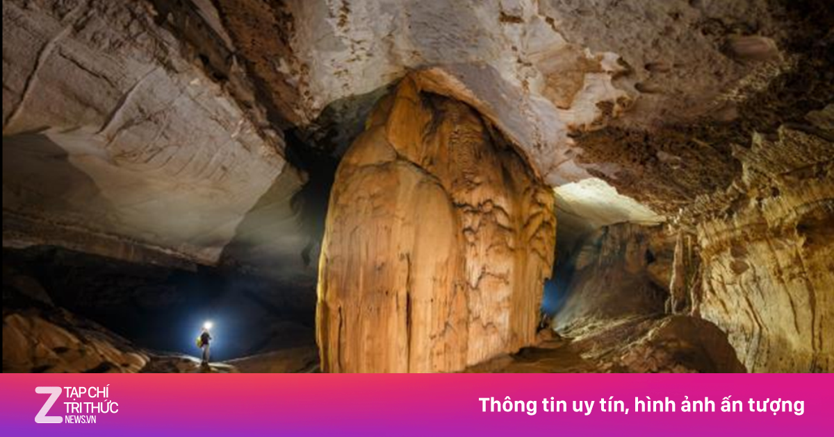 zingnews.vn