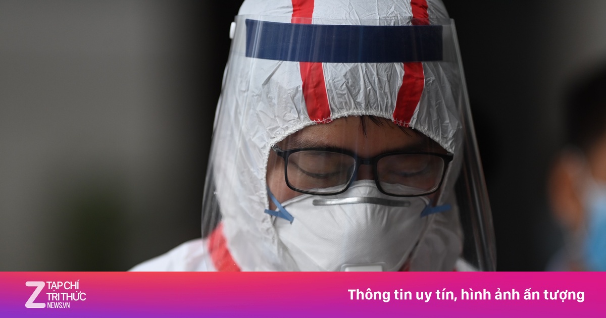 zingnews.vn