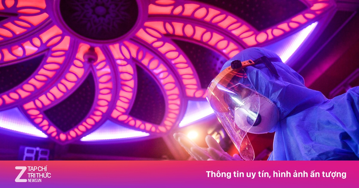 zingnews.vn