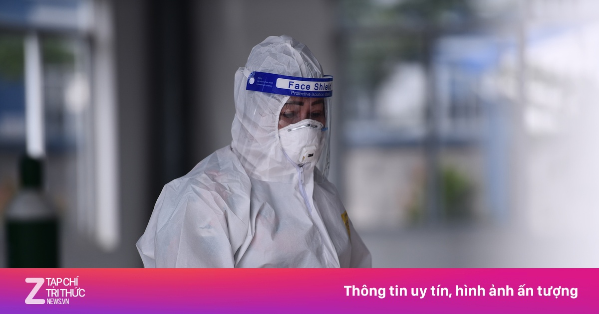 zingnews.vn