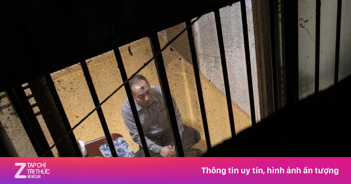 zingnews.vn