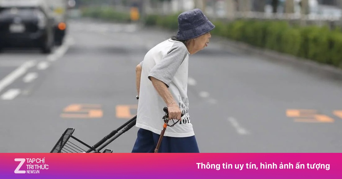 zingnews.vn