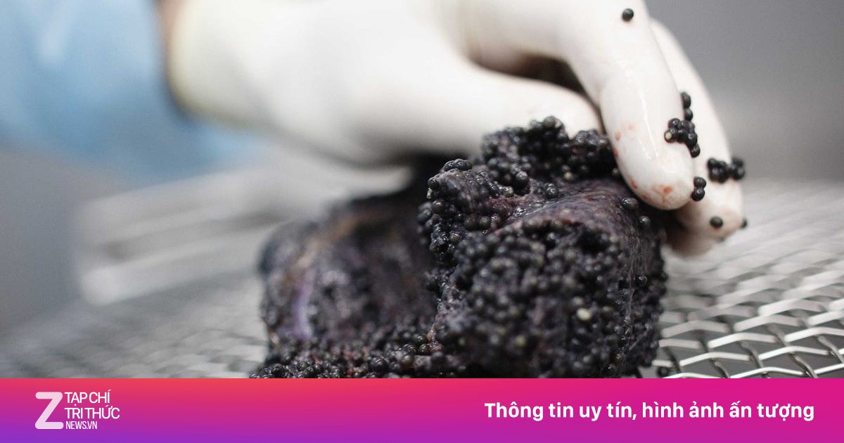 Món ăn đắt đỏ bậc nhất thế giới 'rớt giá'