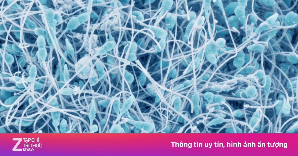 Bê bối người hiến tinh trùng có 67 con, 10 bé mắc ung thư hiếm gặp