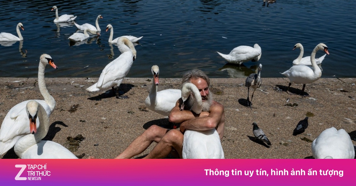 'Người thì thầm với thiên nga' chịu án phạt vì clip hôn chim