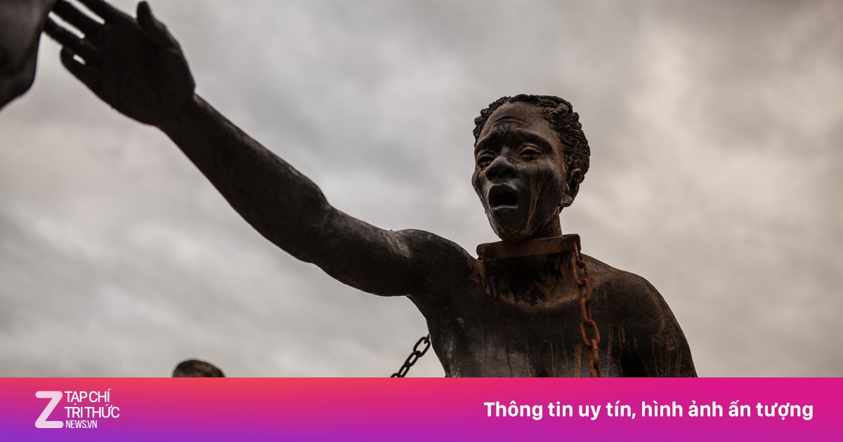 zingnews.vn