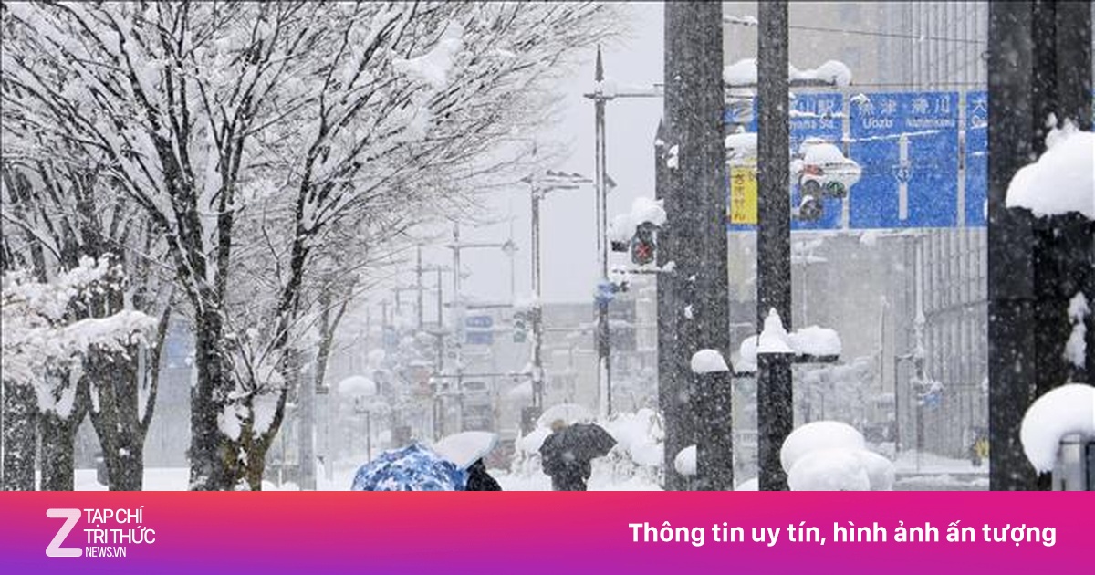 Nhật Bản: Hàng chục người thiệt mạng vì tuyết rơi dày