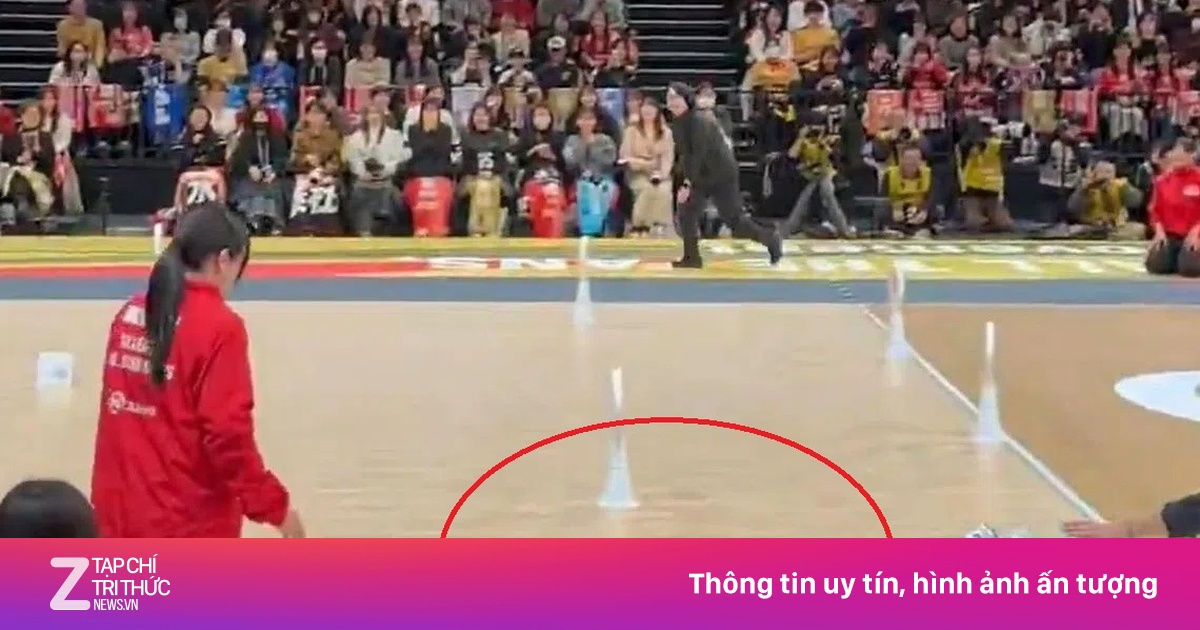 Trượt người xin lỗi trọng tài, VĐV Nhật Bản khiến cả khán đài bật cười