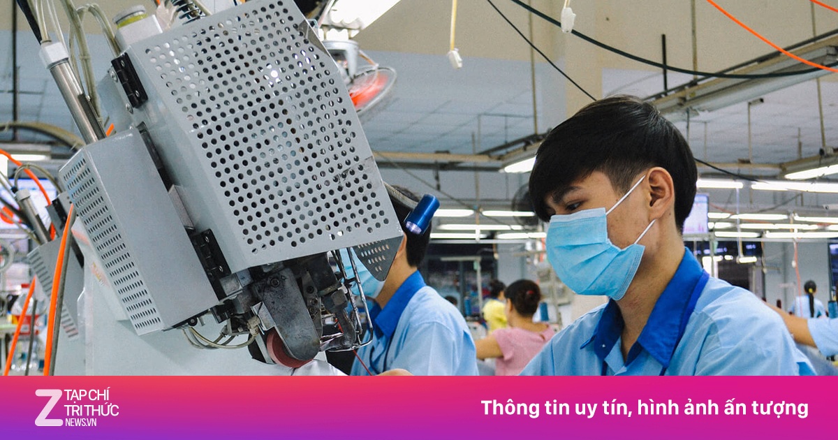 Công ty dệt may TP.HCM vẫn trắng đơn hàng, 6 tháng không thu nổi 1 tỷ