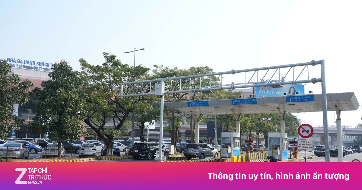 znews.vn