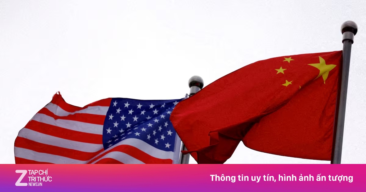znews.vn