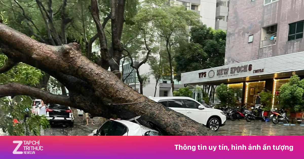 Lộ diện những 'góc khuất' bảo hiểm ôtô