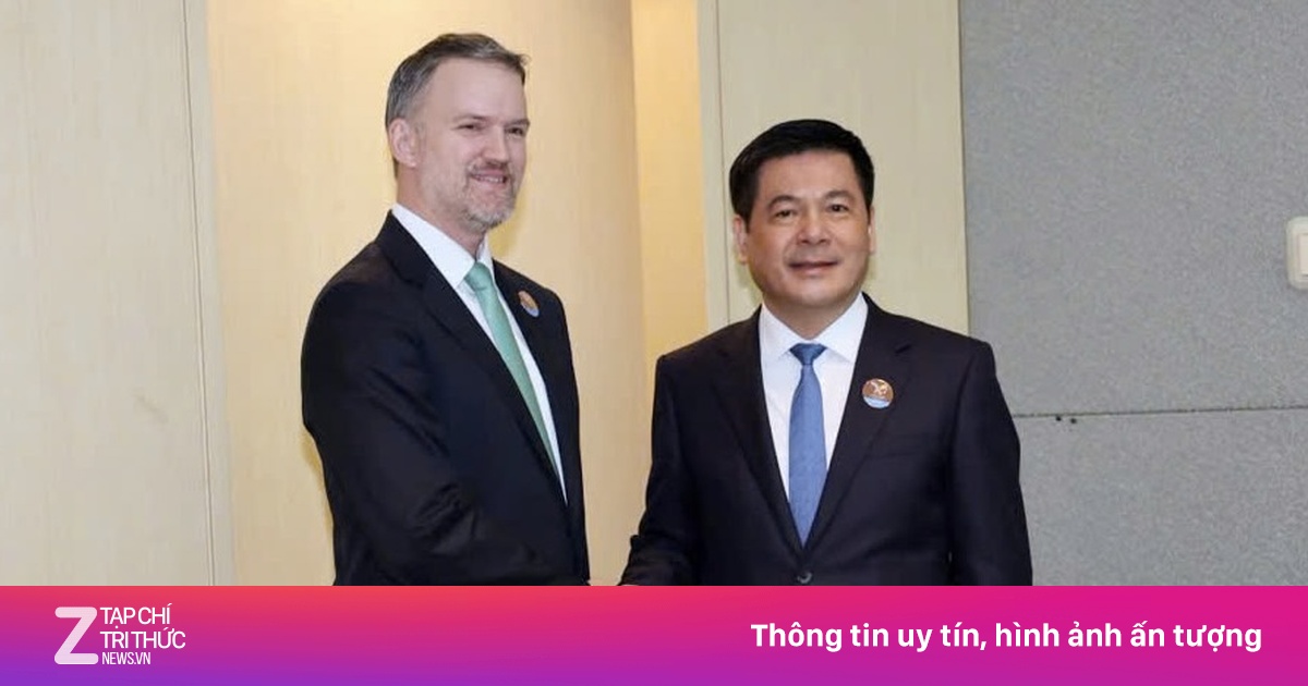 znews.vn