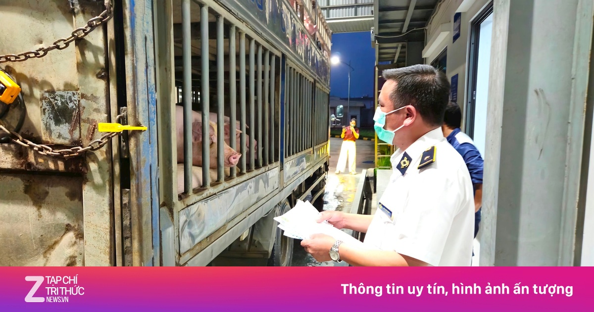 Hà Nội đột xuất kiểm tra Công ty C.P trong đêm