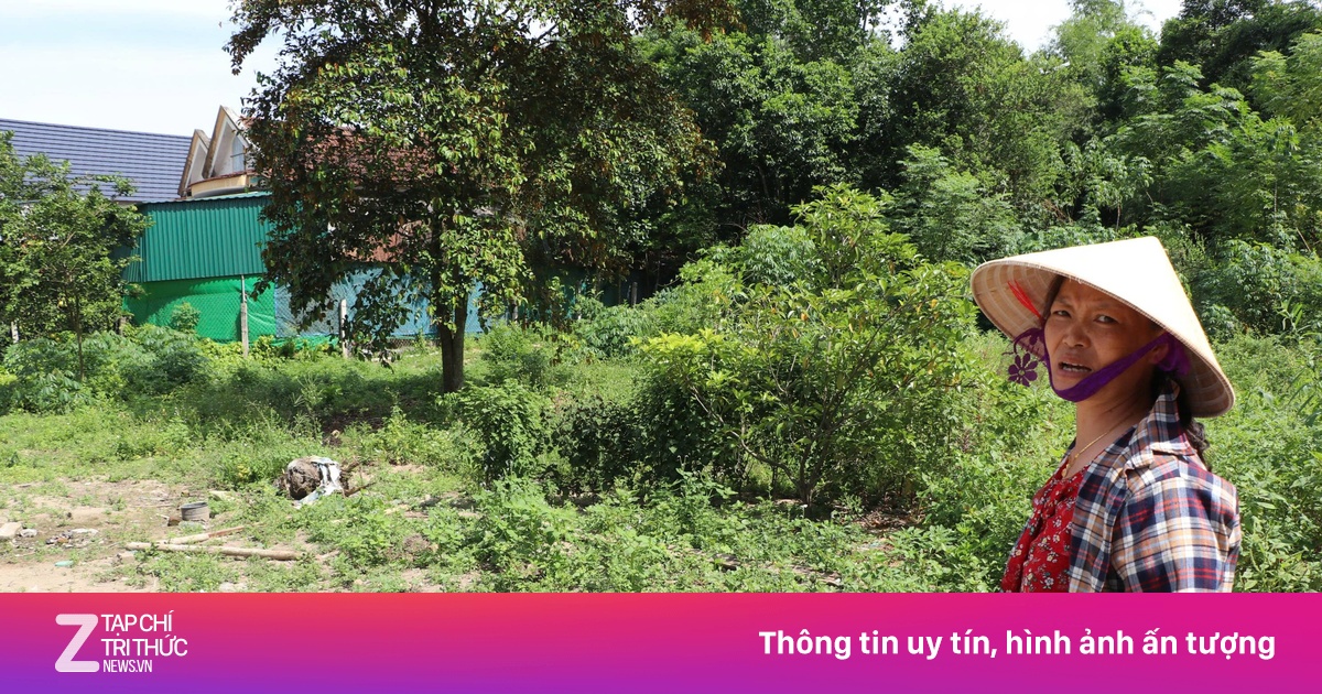 Vụ áp thuế gần 4,5 tỷ cho 300 m2 đất vườn: Sở Tài nguyên báo cáo