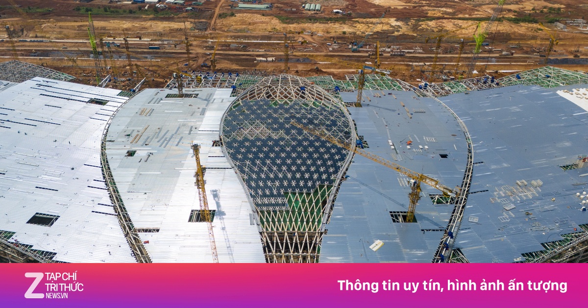 znews.vn