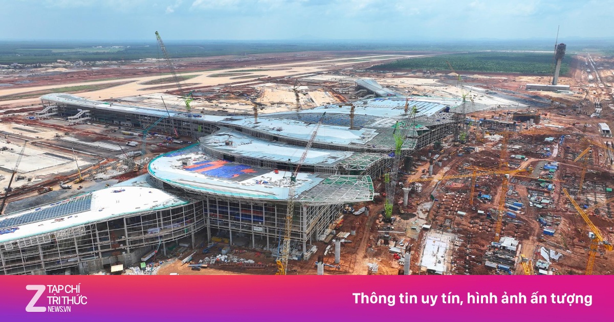 znews.vn