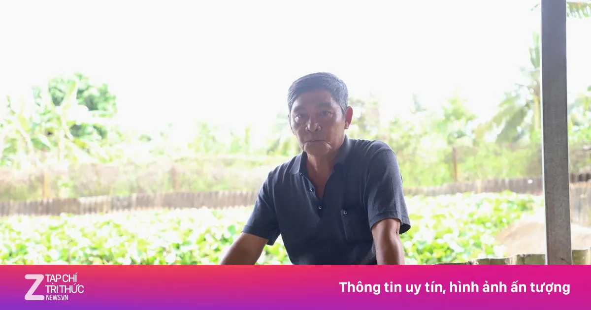 Vật nuôi đặc biệt giúp lão nông thành 'Nông dân Việt Nam xuất sắc'