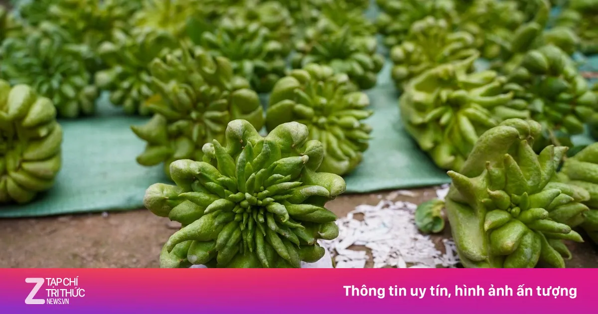 Phật thủ Tết giá đắt đỏ vẫn 'cháy' hàng