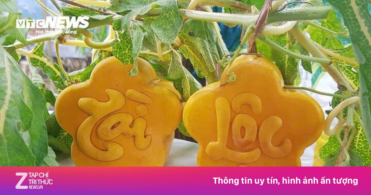 Trái cây tạo hình 2 triệu đồng/quả vẫn không đủ bán