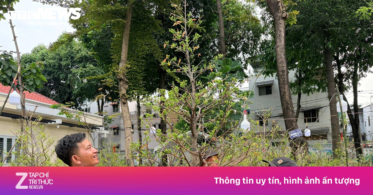Nghề 'Chở Tết' Ở TP.HCM: Thu Nhập Tiền Triệu Mỗi Ngày Từ Vận Chuyển Hoa Xuân