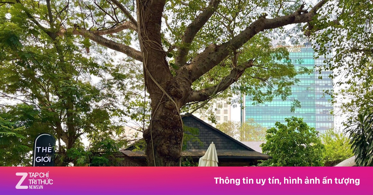 Loạt hàng quán nổi tiếng đóng cửa trên 'đất vàng' phường Sài  Gòn