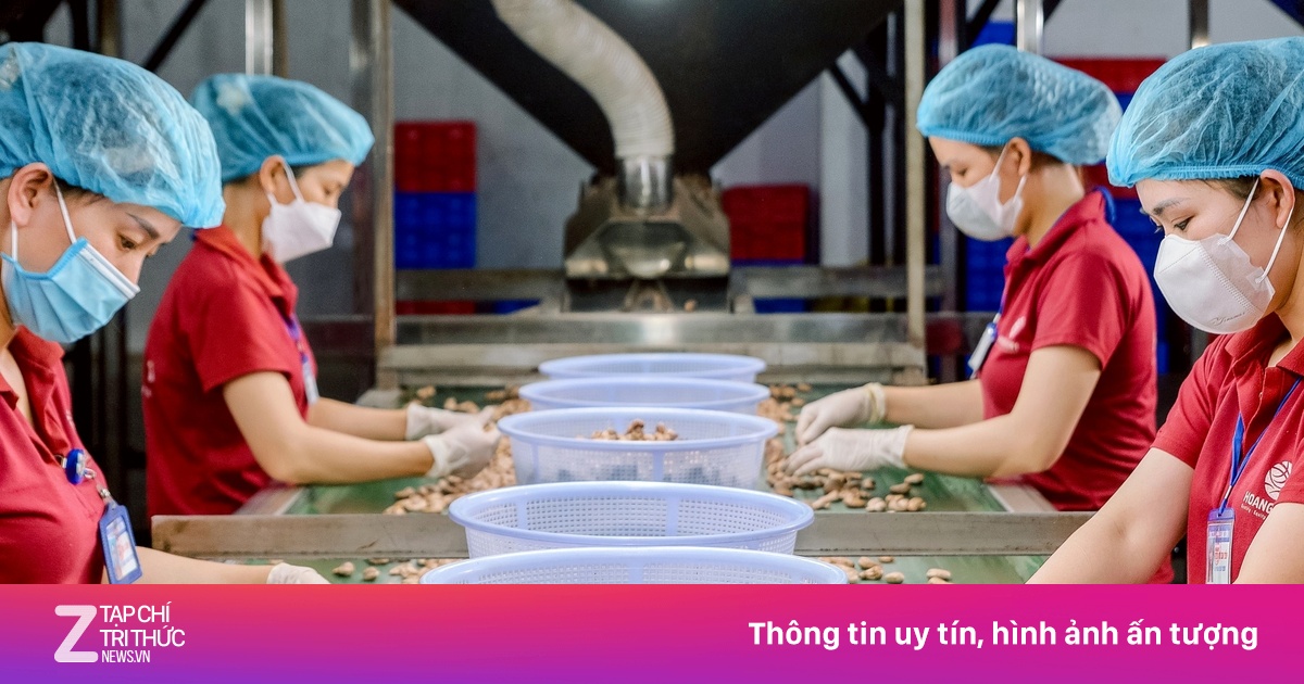 Doanh nghiệp xuất khẩu căng mình ứng phó rủi ro từ chiến sự Trung Đông