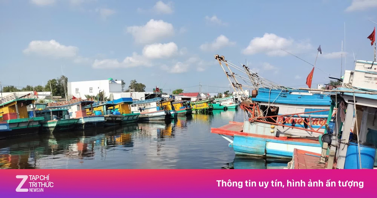 Cà Mau Lên Kịch Bản Phân Bổ Xăng Dầu Ưu Tiên Khi Khẩn Cấp, Giá Tăng Ảnh Hưởng Nông Nghiệp