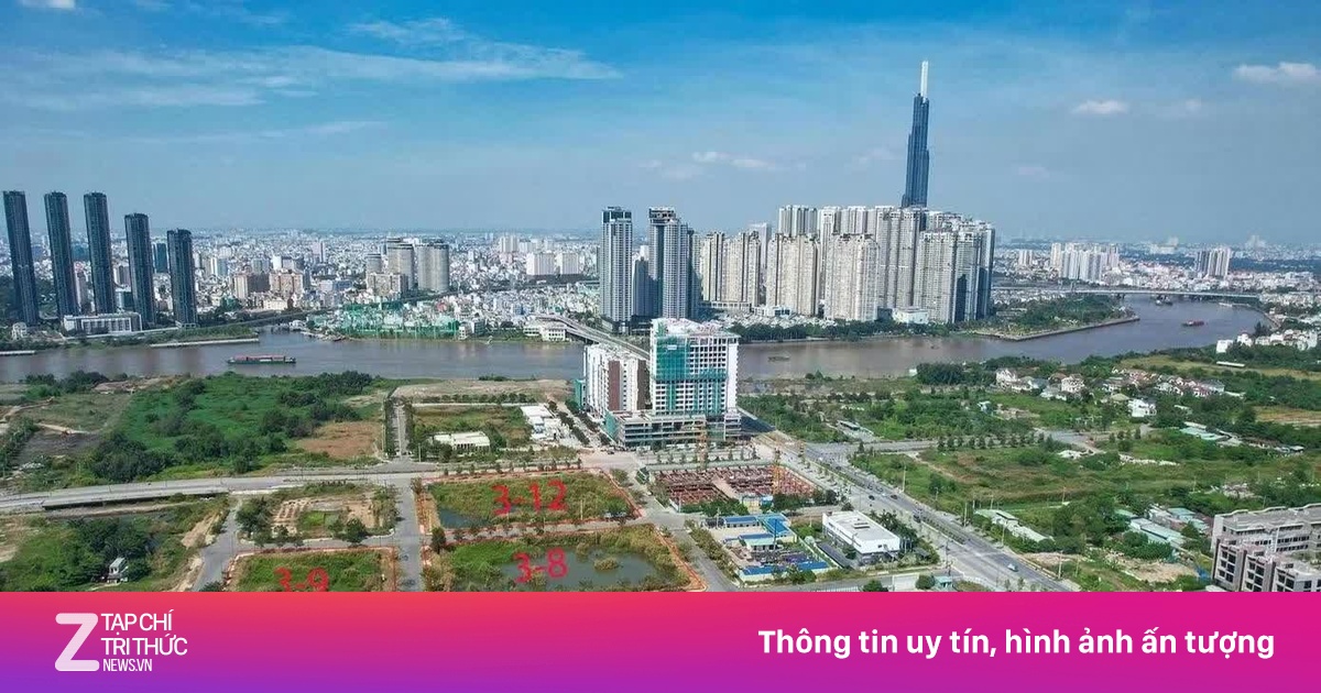 znews.vn