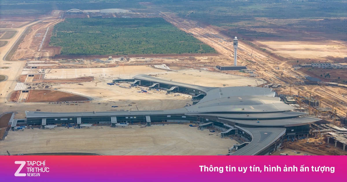 znews.vn