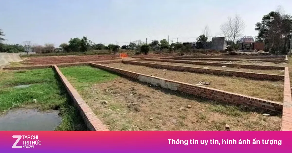 TP.HCM rà soát diện rộng tình trạng phân lô bán nền tự phát tại Bình Dương cũ