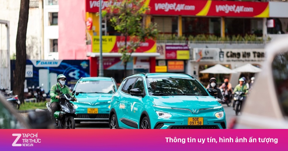 znews.vn