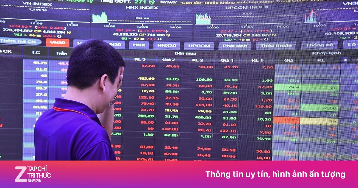 zingnews.vn
