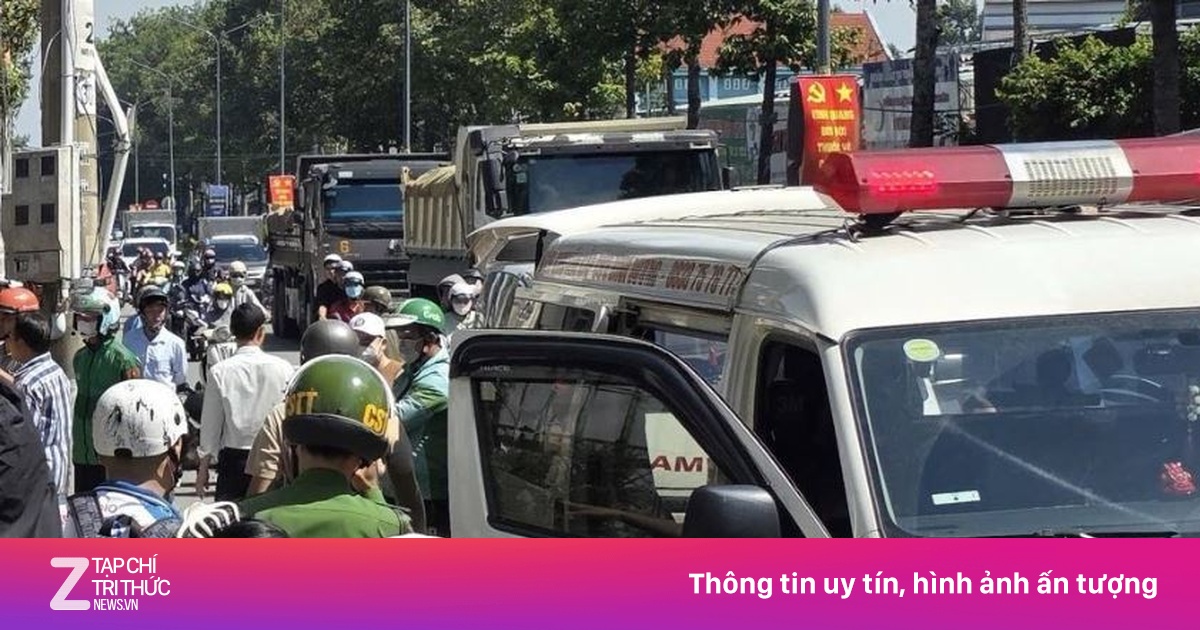 znews.vn