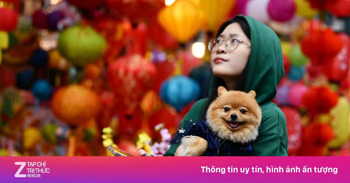 Lịch nghỉ Tết Nguyên đán 2025 từ ngày nào? Xã hội ZNEWS.VN