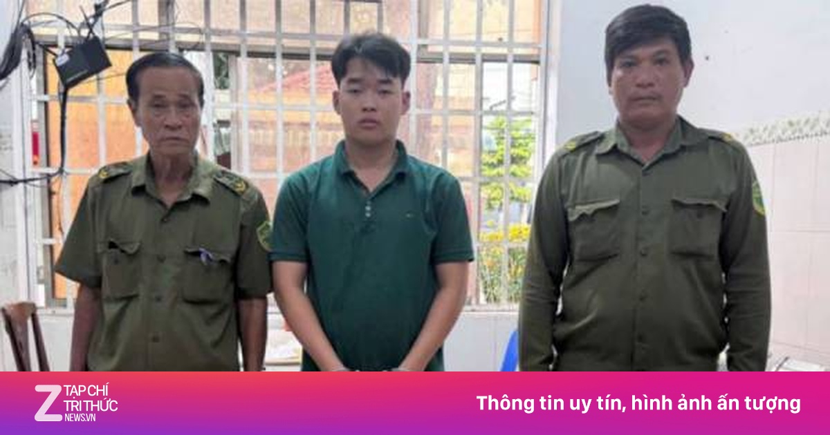 Bắt tài xế xe tải gây tai nạn khiến nữ sinh lớp 12 tử vong - Pháp luật ...